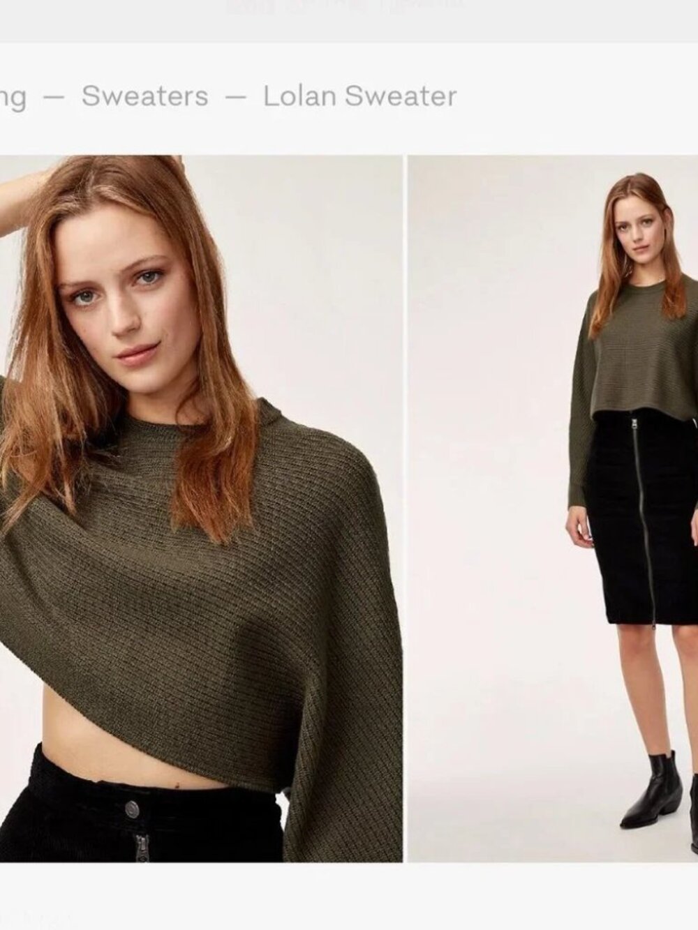 Aritzia Wilfred Free Lolan Sweater